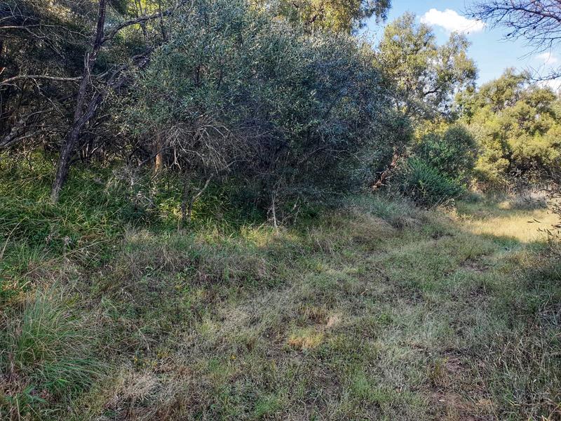 5 Bedroom Property for Sale in Swartruggens North West